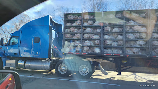 Photo from customer review